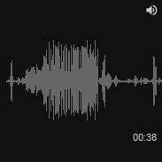 Audioitem