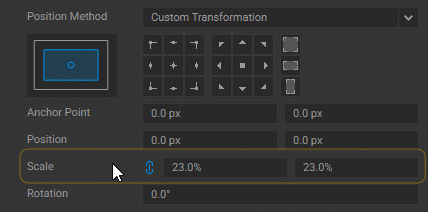 Transformation Scale
